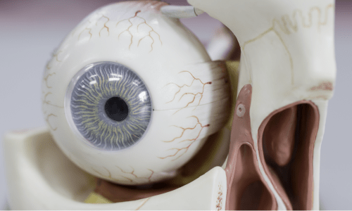 ojo consulta oftalmológica